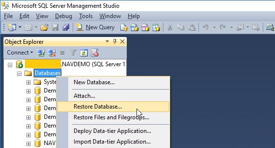 Figure 3 - Restore Database Options