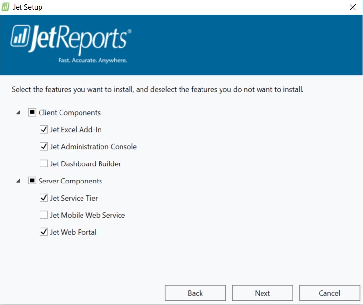 Installing Jet Reports Web Portal - setup selections
